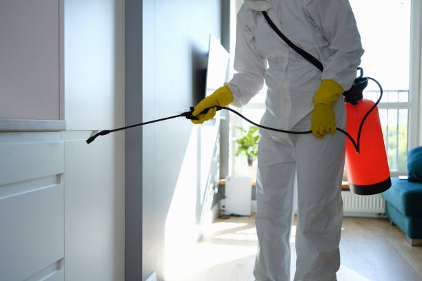 Best Crawl Space Mold Remediation in Crainvle, IL