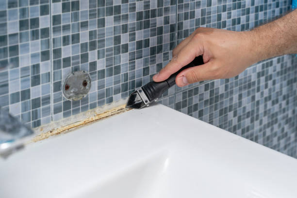 Best Kitchen Mold Remediation in Crainvle, IL