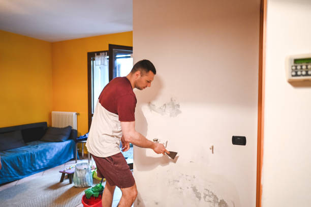 Best Residential Mold Remediation in Crainvle, IL